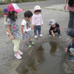 DSCN9920