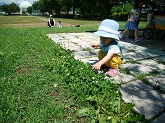 line_oa_chat_200617_021029