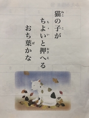 line_oa_chat_210609_193023